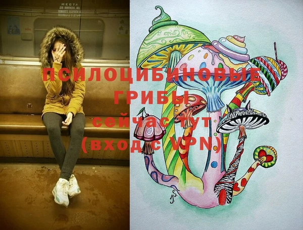 СК Лиски