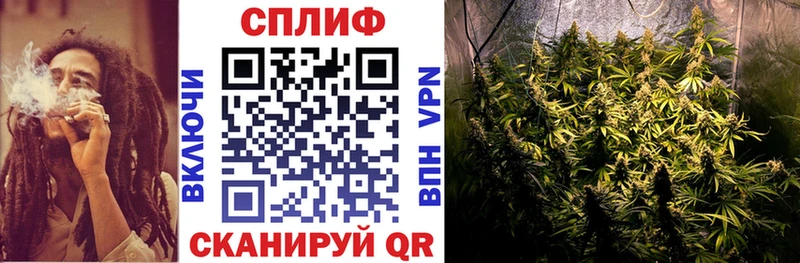 что такое наркотик Бердск Бошки марихуана THC 21%